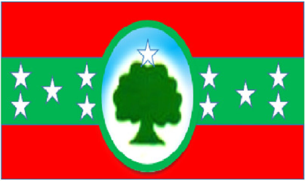 Political program of Oromia Liberation Front- O.L.F. | Bilisummaa