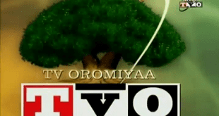 tv oromiyaa