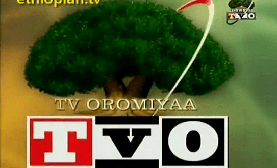 tv oromiyaa