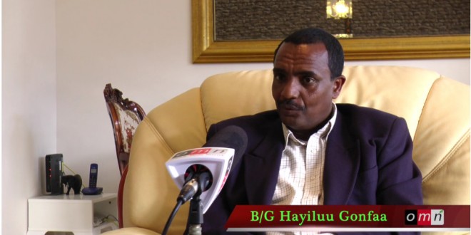 hayluu gonfaa2016