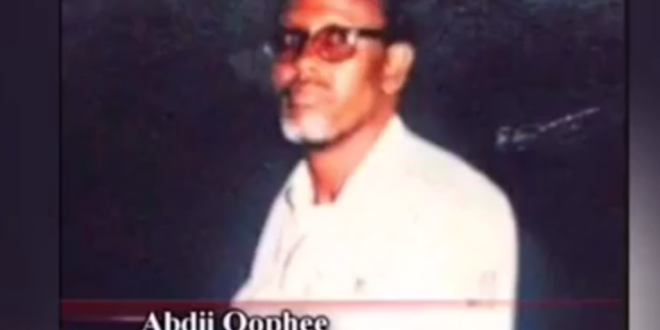 abdi qophee1