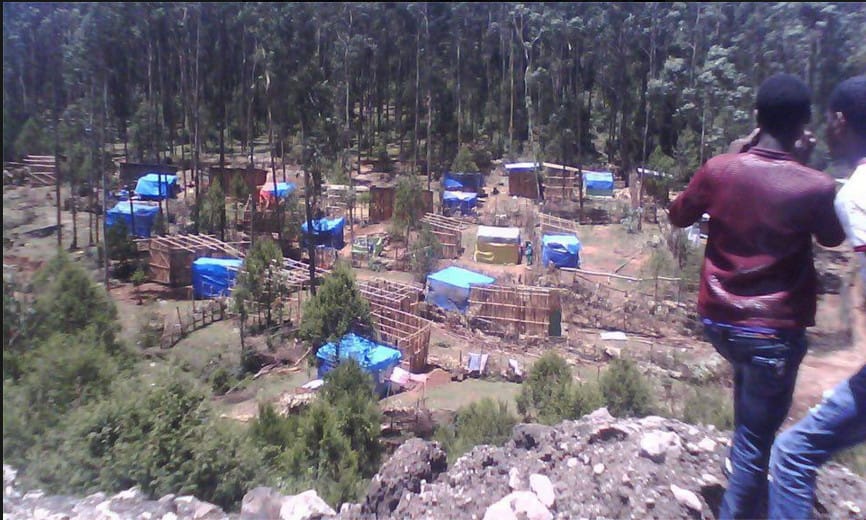 warra lafaraa buqqifaman2